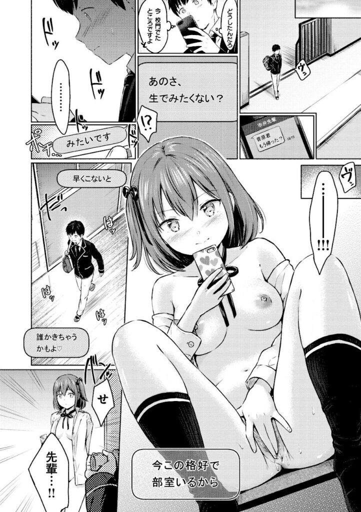 Reco｜てんぷてーしょん 【b915awnmg00861】